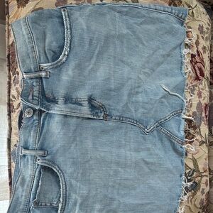 Express Light Blue Denim with Floral Tapestry